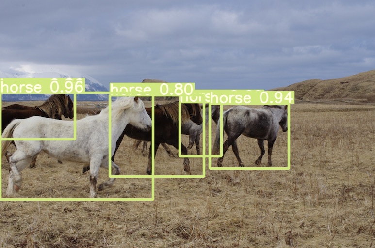 horses